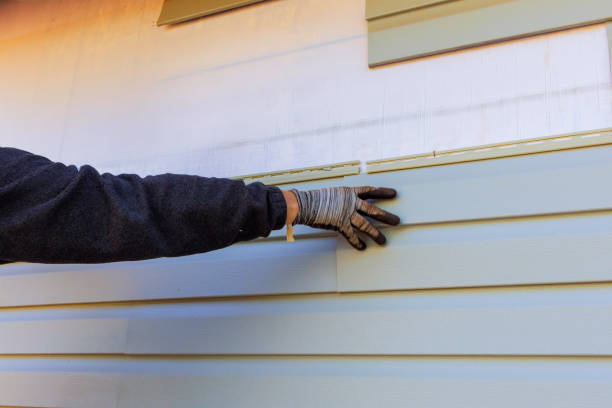 Best Composite Siding  in Rio Grande City, TX